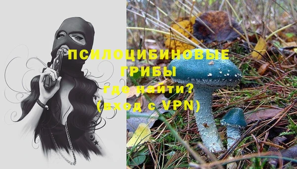 ГАЛЛЮЦИНОГЕННЫЕ ГРИБЫ Абдулино