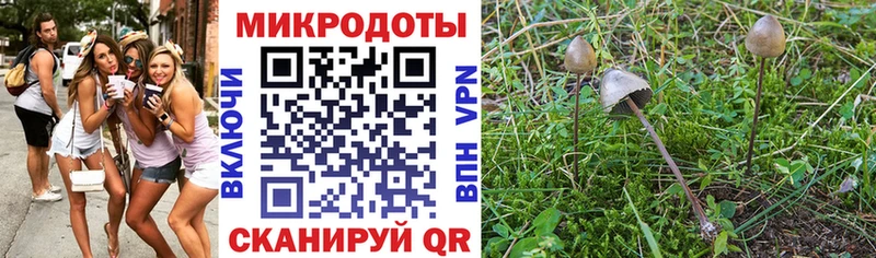 МЕГА рабочий сайт  наркотики  Домодедово  Галлюциногенные грибы мицелий 